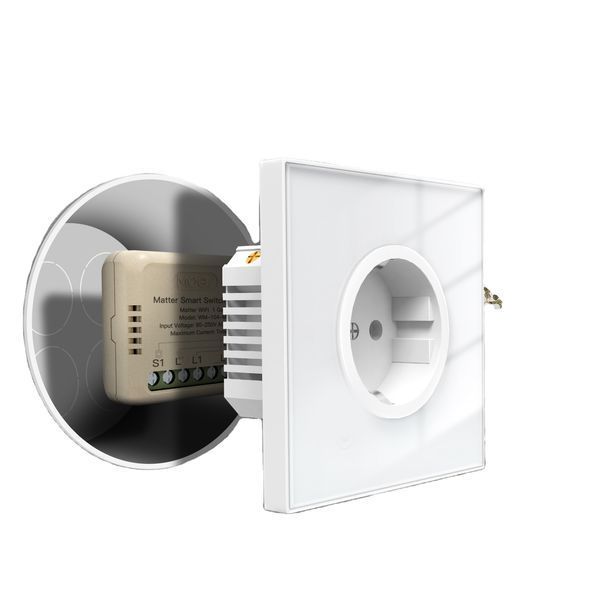 Wi-Fi мини реле Matter одноканальное Moes Tuya Smart 10A для умного дома (MWM-104-M) M10469 фото