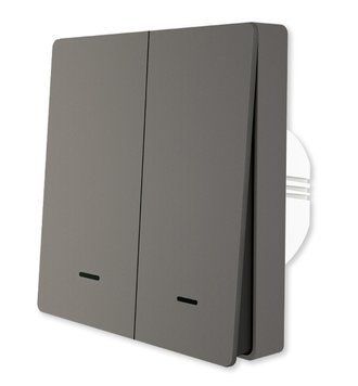 ZigBee механический выключатель Tuya Smart на 2 линии, серый (ZS-EUB1-W) M10101 фото